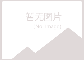 汝阳县夏岚建筑有限公司